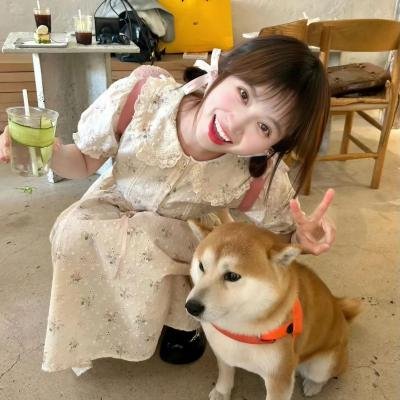 美好年华研习社